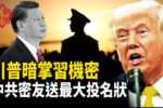 香港希望之聲 香港希望之聲