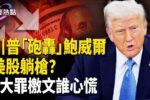 香港希望之聲 香港希望之聲