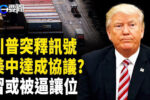 香港希望之聲
