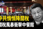 香港希望之聲 香港希望之聲