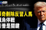 香港希望之聲