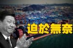 香港希望之聲