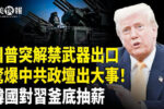 香港希望之聲