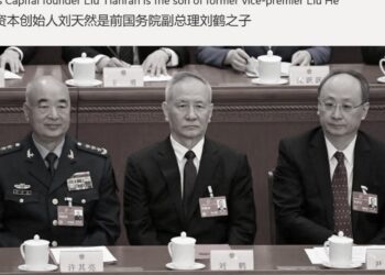 傳習近平親信劉鶴之子出事了