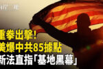 香港希望之聲 香港希望之聲