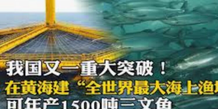 中共當局在黃海有爭議海域設置鋼體結構養魚場引發韓國的憤怒。韓國政府宣布採取跨部門行動應對。韓國專家指,中國的目的是一點一點地佔領我們的海域,並限制美-韓聯盟的行動。”(視頻截圖)