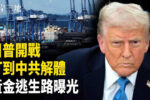 香港希望之聲