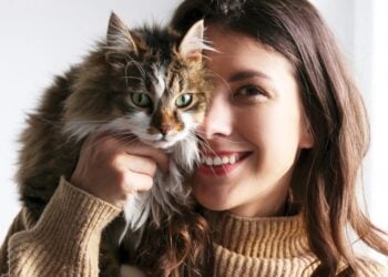 動物說人話 能預示吉凶 知曉前世未來【生命探索 第四十六集】