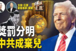 香港希望之聲