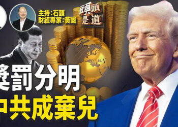 【頭頭是道】川普團隊聚焦北京反制，緩解其他國家的關稅問題90天；北京作繭自縛，成世界孤兒；巴拿馬運河又有新的消息…