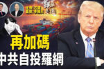 香港希望之聲