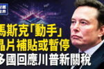 香港希望之聲