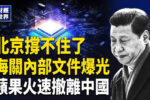 香港希望之聲