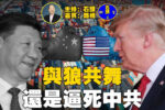 香港希望之聲