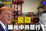 香港希望之聲