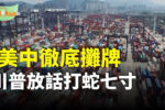 香港希望之聲