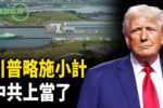 香港希望之聲 香港希望之聲