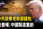 香港希望之聲 香港希望之聲