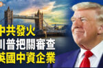 香港希望之聲
