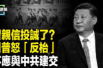 香港希望之聲