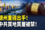 香港希望之聲