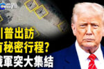 香港希望之聲