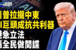 香港希望之聲
