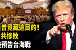 香港希望之聲