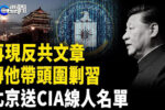 香港希望之聲