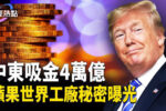 香港希望之聲