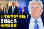 香港希望之聲