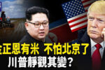 香港希望之聲