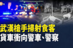 香港希望之聲