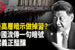 香港希望之聲