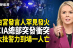 香港希望之聲