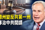 香港希望之聲
