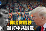 香港希望之聲