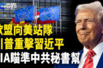 香港希望之聲