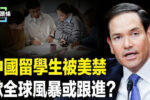 香港希望之聲
