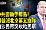 香港希望之聲