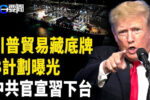 香港希望之聲
