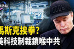香港希望之聲