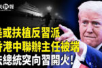香港希望之聲