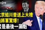 香港希望之聲 香港希望之聲