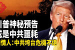 香港希望之聲
