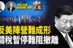 香港希望之聲 香港希望之聲