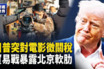 香港希望之聲