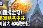 香港希望之聲