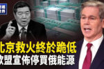 香港希望之聲