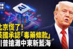 香港希望之聲